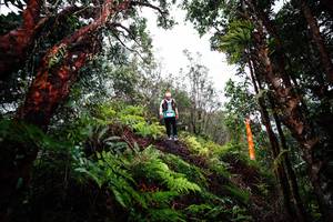 BIB: 
                            <button type="button" onclick="openModal(26205463)" class="btn btn-primary btn-sm float-right btn-popup" data-toggle="modal" data-target=".modal-high-quality">
                        <i class="fas fa-shopping-cart"></i> Add to Cart
                    </button>
                                            <button type="button" onclick="isThisMe(26205463, true)" class="btn btn-success btn-sm float-right btn-popup btn-isme hidden" data-toggle="tooltip" data-placement="bottom" title="นี่คือรูปของคุณใช่ไหม คลิกที่นี่เพื่อเอาเข้าอัลบั้ม">
                        <i class="fas fa-plus"></i> Add to album
                    </button>
                    <button type="button" onclick="isThisMe(26205463, false)" class="btn btn-warning btn-sm float-right btn-popup btn-isnotme hidden">
                        <i class="fas fa-ban"></i> Remove from album
                    </button>